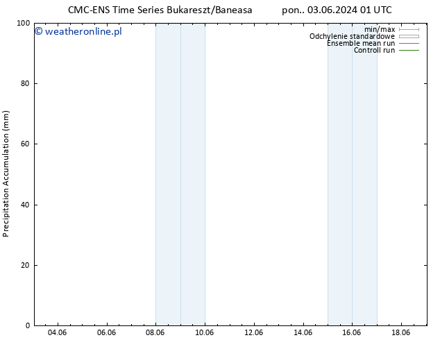 Precipitation accum. CMC TS pon. 03.06.2024 13 UTC