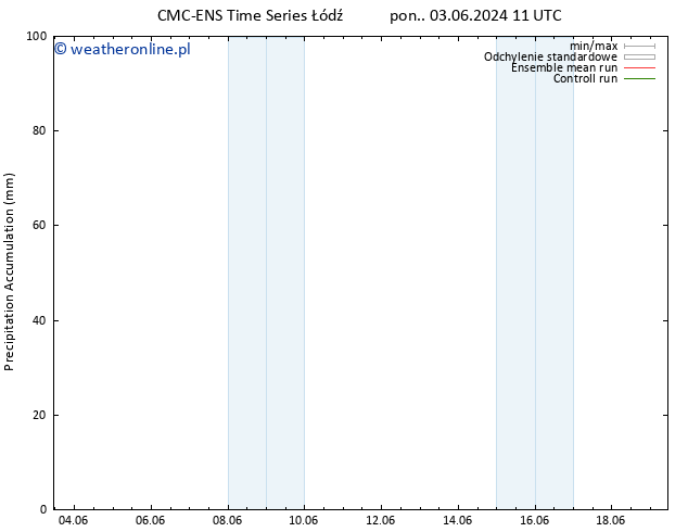 Precipitation accum. CMC TS pon. 03.06.2024 17 UTC