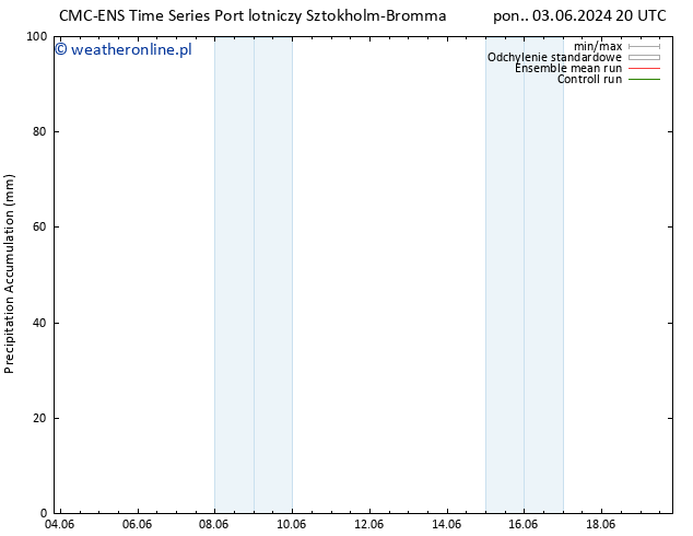 Precipitation accum. CMC TS pon. 03.06.2024 20 UTC