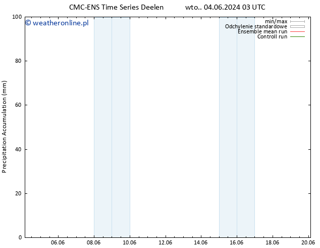 Precipitation accum. CMC TS wto. 04.06.2024 03 UTC