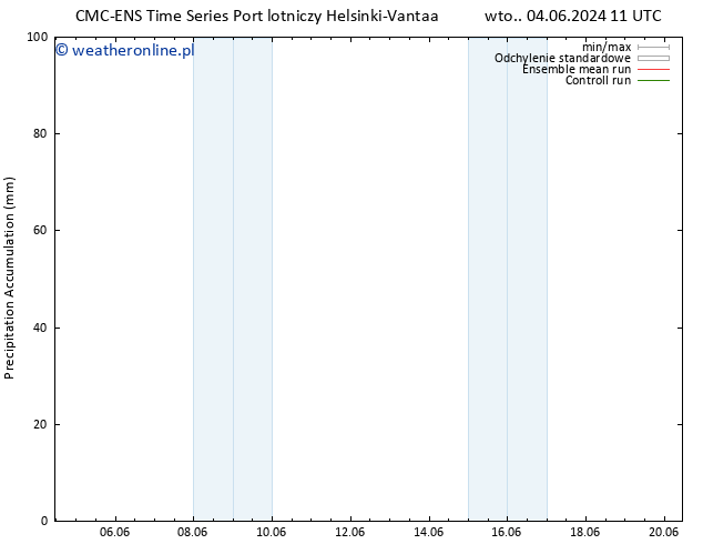 Precipitation accum. CMC TS wto. 04.06.2024 17 UTC