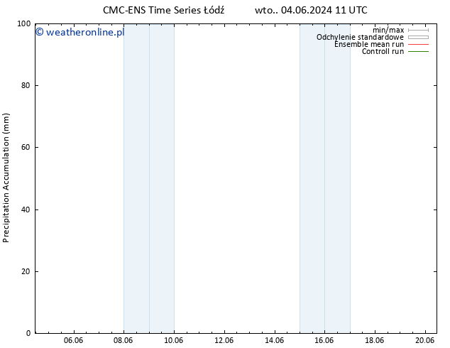 Precipitation accum. CMC TS wto. 11.06.2024 11 UTC