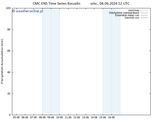 Precipitation accum. CMC TS pon. 10.06.2024 12 UTC