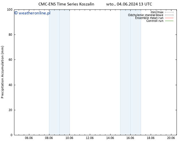 Precipitation accum. CMC TS wto. 11.06.2024 19 UTC