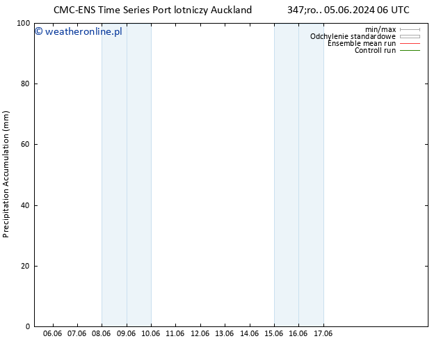 Precipitation accum. CMC TS so. 08.06.2024 06 UTC