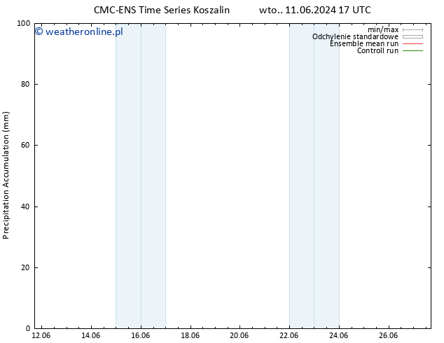 Precipitation accum. CMC TS wto. 11.06.2024 17 UTC