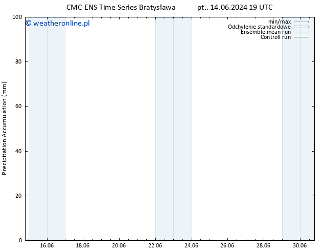 Precipitation accum. CMC TS czw. 20.06.2024 13 UTC