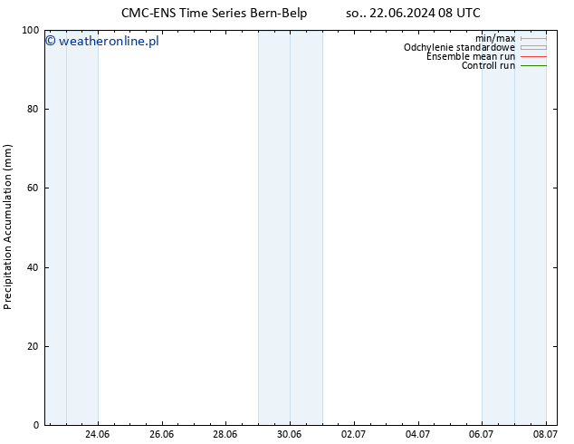 Precipitation accum. CMC TS nie. 30.06.2024 08 UTC