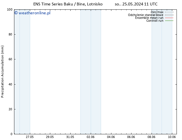 Precipitation accum. GEFS TS czw. 30.05.2024 11 UTC