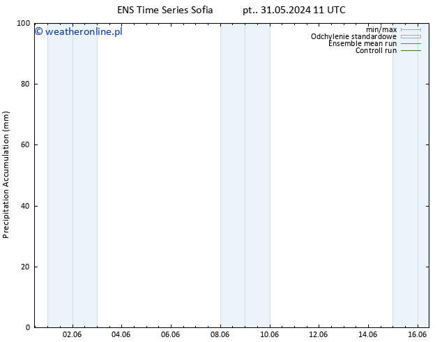 Precipitation accum. GEFS TS pt. 31.05.2024 17 UTC