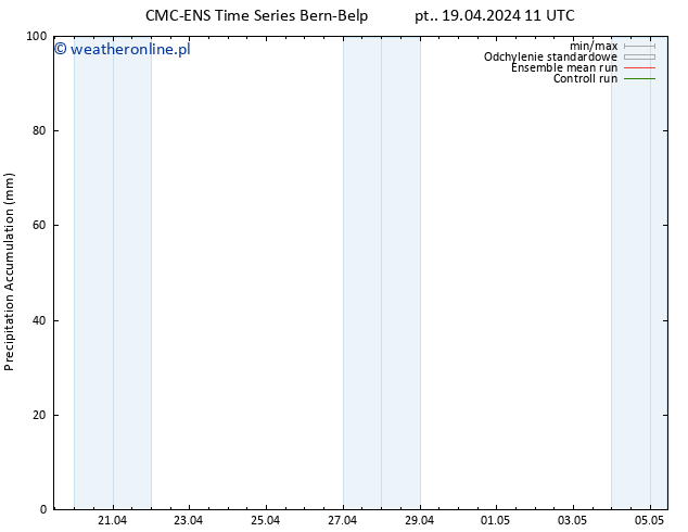 Precipitation accum. CMC TS pt. 19.04.2024 17 UTC