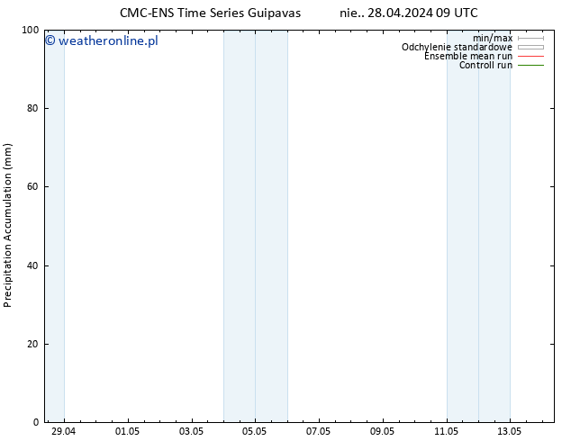 Precipitation accum. CMC TS nie. 28.04.2024 21 UTC