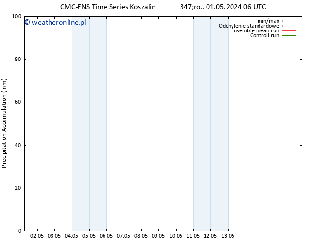 Precipitation accum. CMC TS pon. 13.05.2024 12 UTC