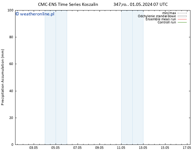 Precipitation accum. CMC TS pt. 03.05.2024 13 UTC