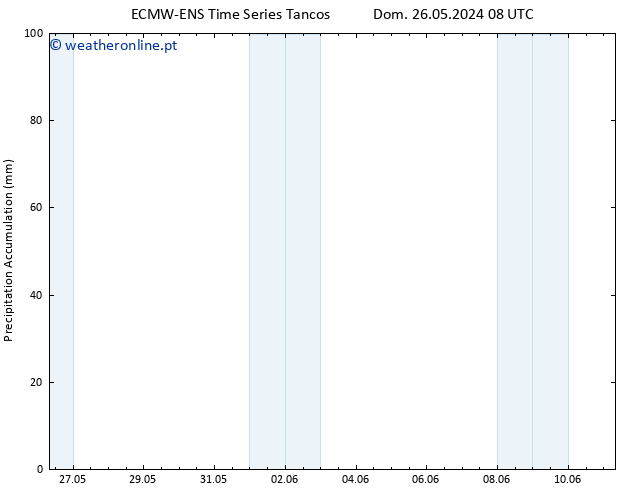 Precipitation accum. ALL TS Dom 26.05.2024 20 UTC