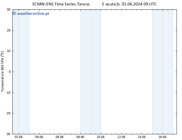 Temp. 850 hPa ALL TS Dom 02.06.2024 15 UTC