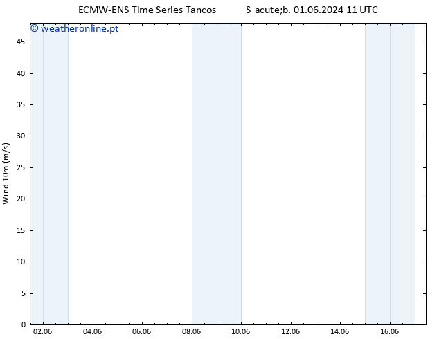 Vento 10 m ALL TS Dom 02.06.2024 11 UTC