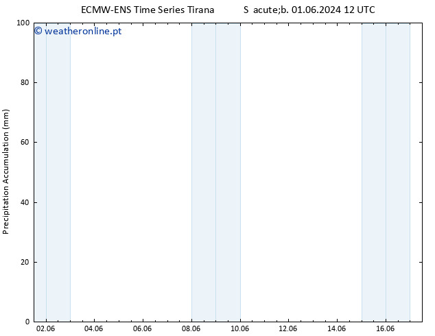 Precipitation accum. ALL TS Seg 17.06.2024 12 UTC