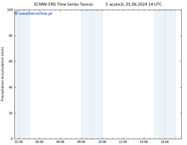 Precipitation accum. ALL TS Seg 03.06.2024 14 UTC