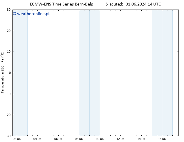 Temp. 850 hPa ALL TS Dom 02.06.2024 14 UTC