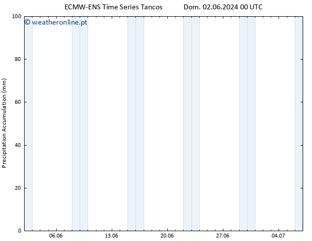 Precipitation accum. ALL TS Seg 03.06.2024 12 UTC