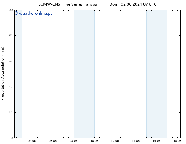 Precipitation accum. ALL TS Dom 09.06.2024 19 UTC