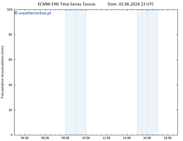 Precipitation accum. ALL TS Seg 03.06.2024 05 UTC