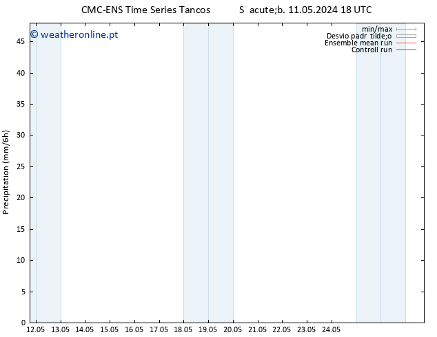 precipitação CMC TS Dom 12.05.2024 12 UTC