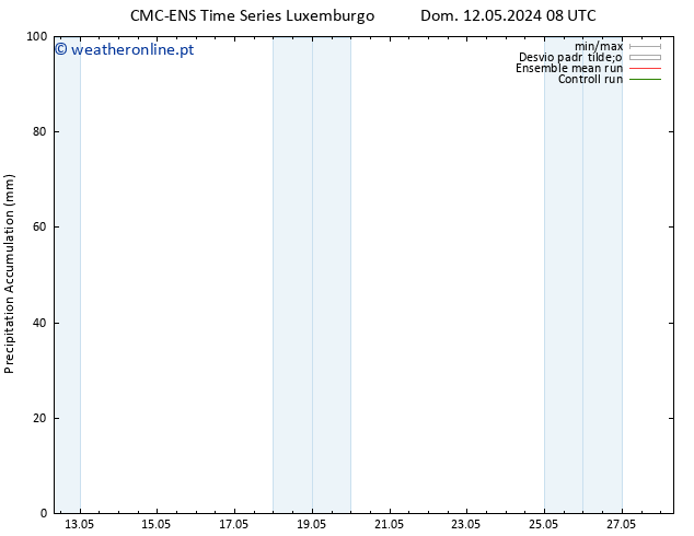 Precipitation accum. CMC TS Dom 12.05.2024 14 UTC