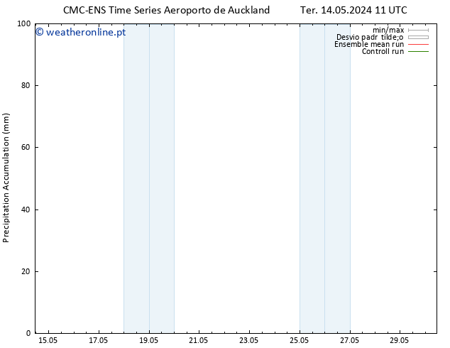 Precipitation accum. CMC TS Ter 14.05.2024 17 UTC