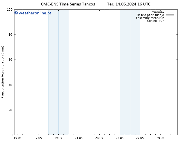 Precipitation accum. CMC TS Seg 20.05.2024 04 UTC
