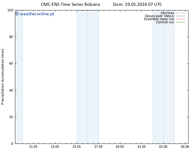 Precipitation accum. CMC TS Dom 19.05.2024 13 UTC