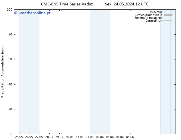 Precipitation accum. CMC TS Dom 02.06.2024 00 UTC