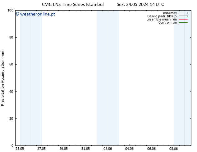 Precipitation accum. CMC TS Sex 24.05.2024 20 UTC