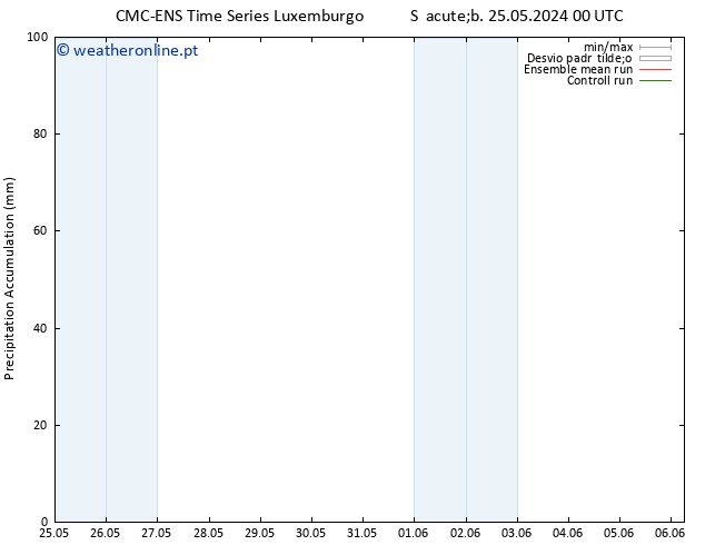 Precipitation accum. CMC TS Dom 02.06.2024 12 UTC
