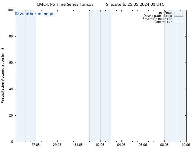 Precipitation accum. CMC TS Dom 26.05.2024 07 UTC