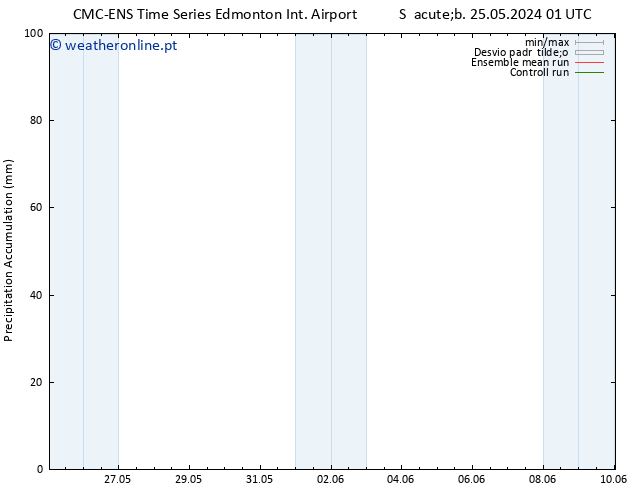 Precipitation accum. CMC TS Sex 31.05.2024 01 UTC