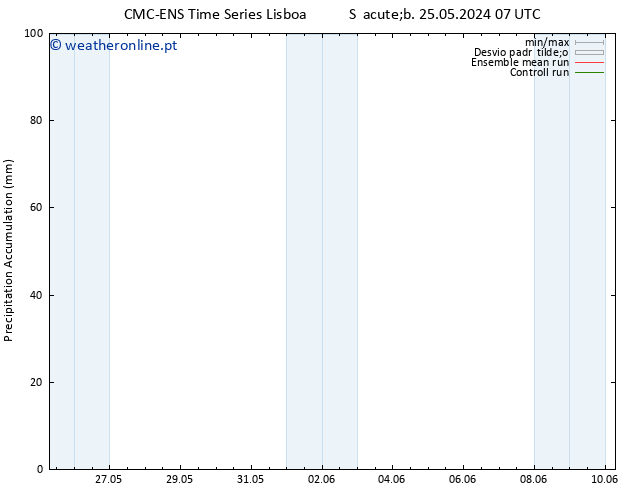 Precipitation accum. CMC TS Qui 06.06.2024 13 UTC