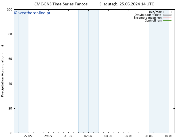 Precipitation accum. CMC TS Sáb 25.05.2024 20 UTC