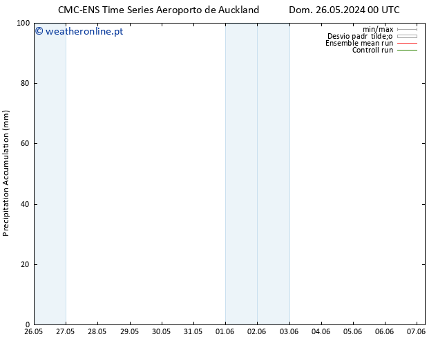 Precipitation accum. CMC TS Dom 02.06.2024 06 UTC