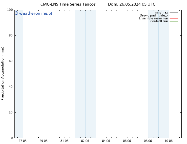 Precipitation accum. CMC TS Sex 07.06.2024 11 UTC