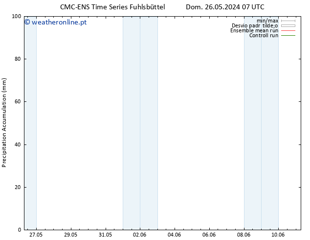 Precipitation accum. CMC TS Seg 03.06.2024 19 UTC