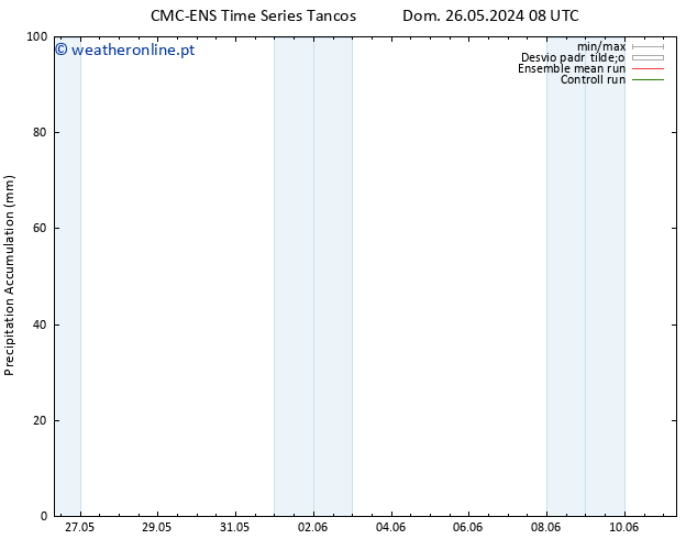 Precipitation accum. CMC TS Qua 29.05.2024 08 UTC