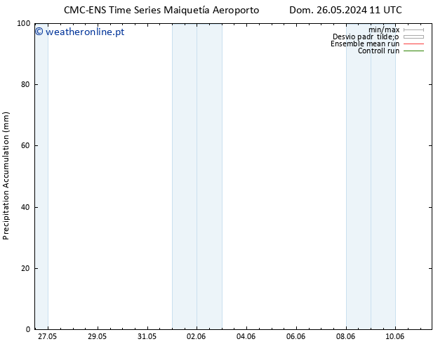 Precipitation accum. CMC TS Qua 29.05.2024 05 UTC