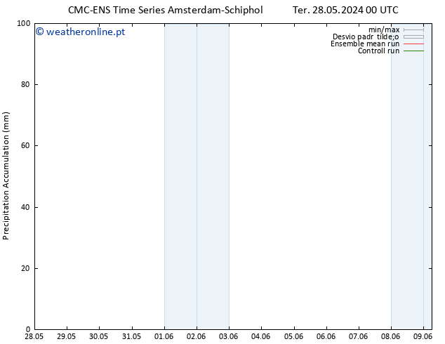 Precipitation accum. CMC TS Qua 29.05.2024 12 UTC