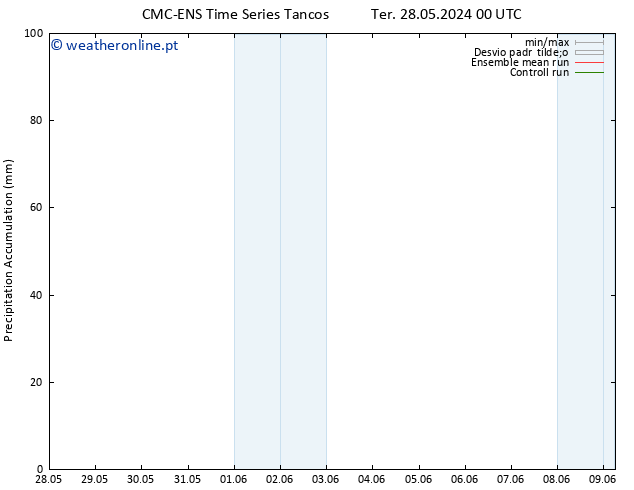 Precipitation accum. CMC TS Ter 28.05.2024 06 UTC