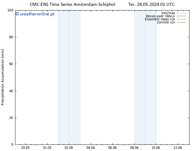 Precipitation accum. CMC TS Qua 29.05.2024 13 UTC