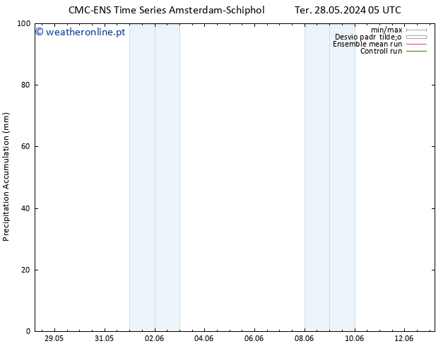 Precipitation accum. CMC TS Qua 29.05.2024 17 UTC