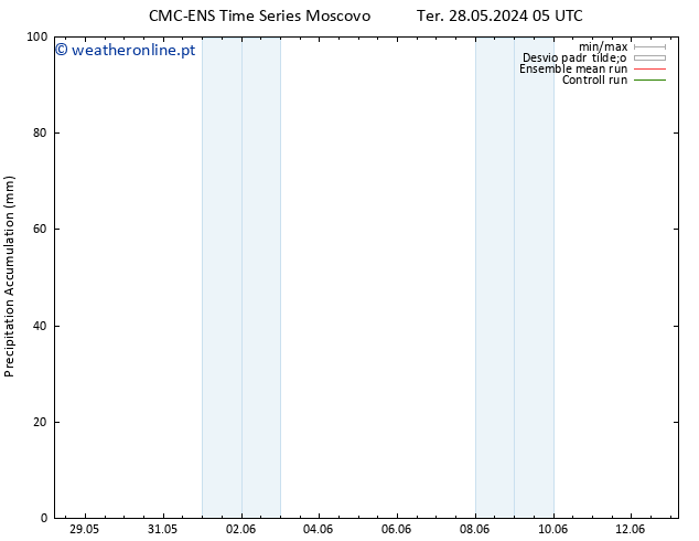 Precipitation accum. CMC TS Qua 29.05.2024 17 UTC