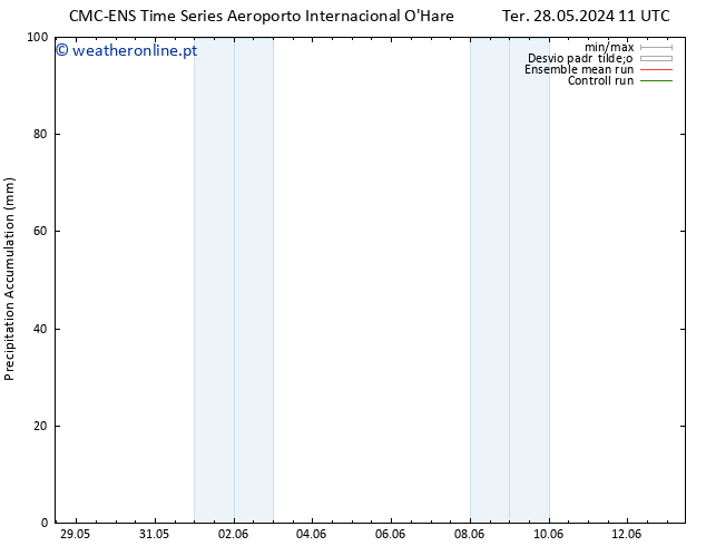 Precipitation accum. CMC TS Seg 03.06.2024 23 UTC